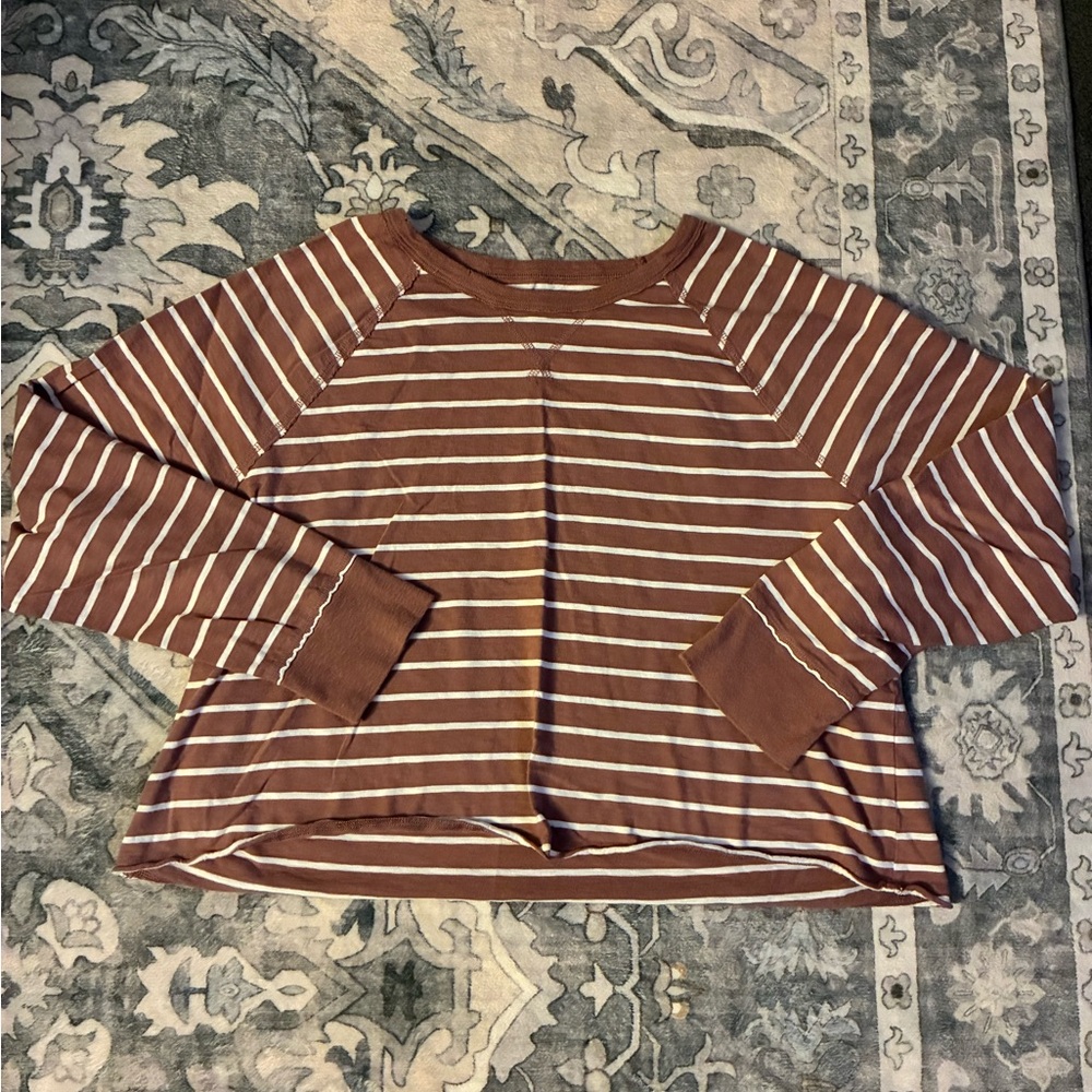 aerie Rust Brown and White Striped Long Sleeve Crop Top